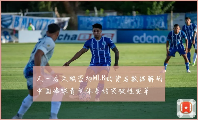 又一名天赋签约MLB的背后数据解码中国棒球青训体系的突破性变革